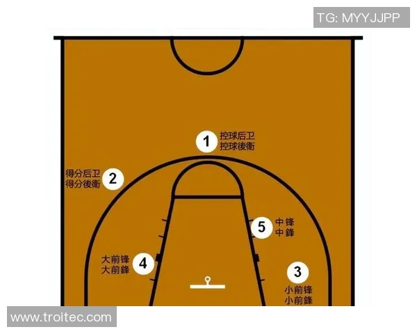 深入探讨上海篮球队技术表现的数据分析与战术优化研究